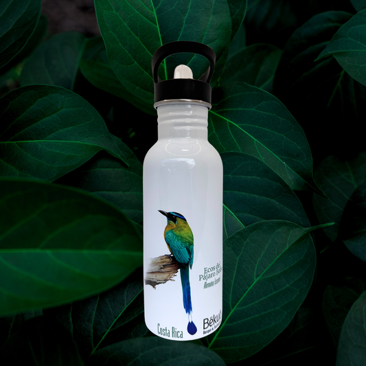 Botella - Ecos del Pájaro Bobo