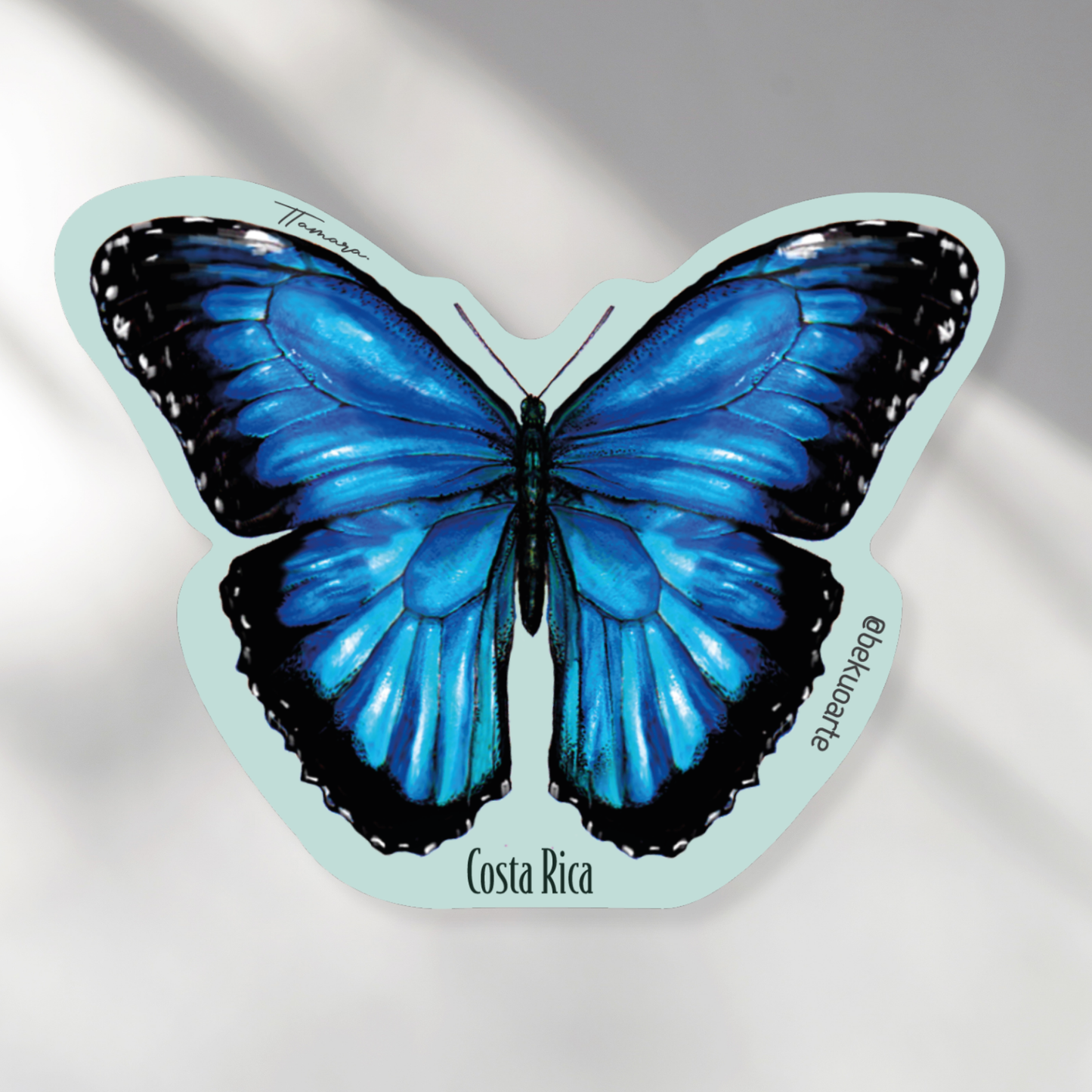 Imán - Morpho Azul