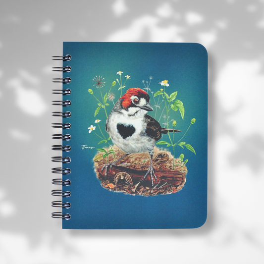 Libreta pequeña - Pinzón Costarricense