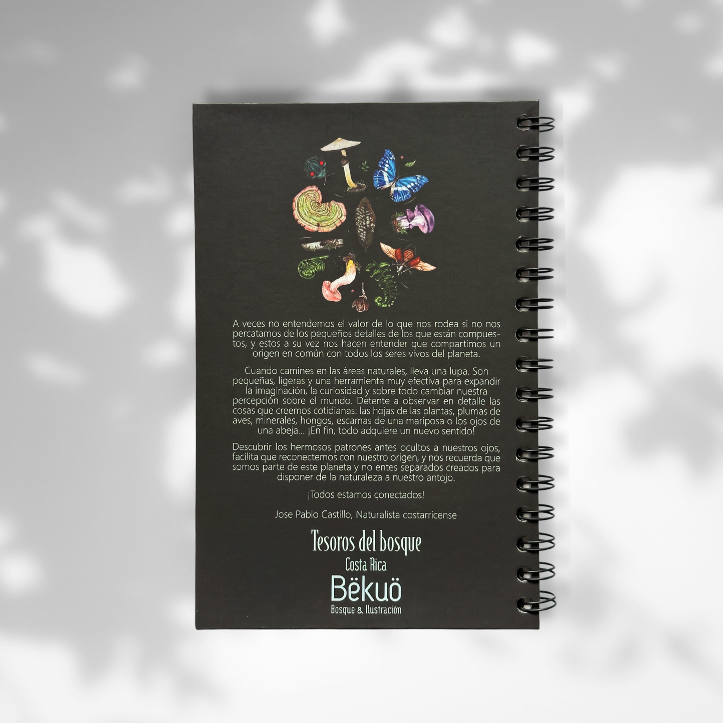 Libreta - Estamos conectados