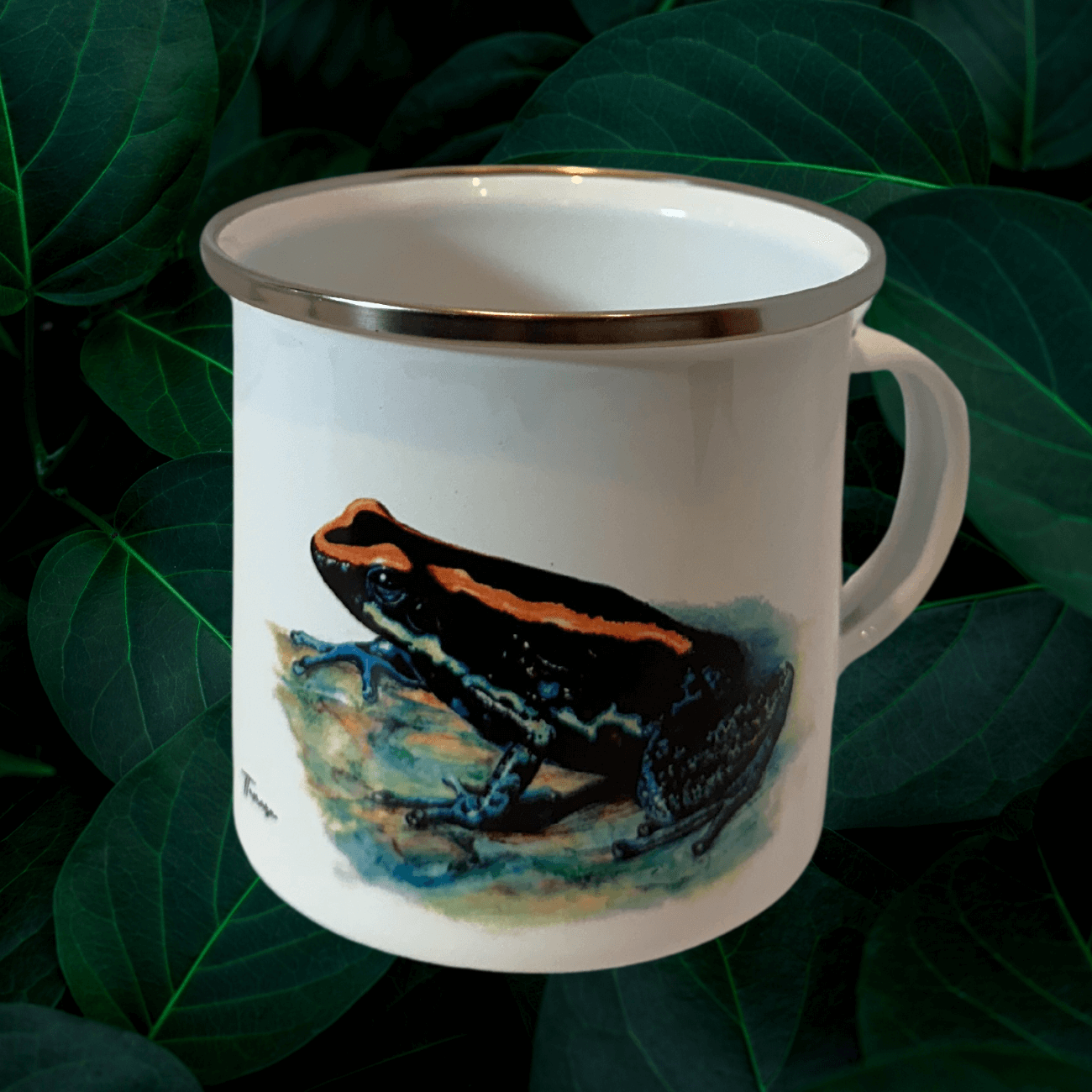 Jarrito de Metal - Rana Endémica del Golfo Dulce