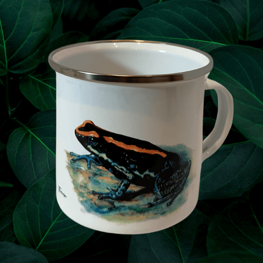 Jarrito de Metal - Rana Endémica del Golfo Dulce