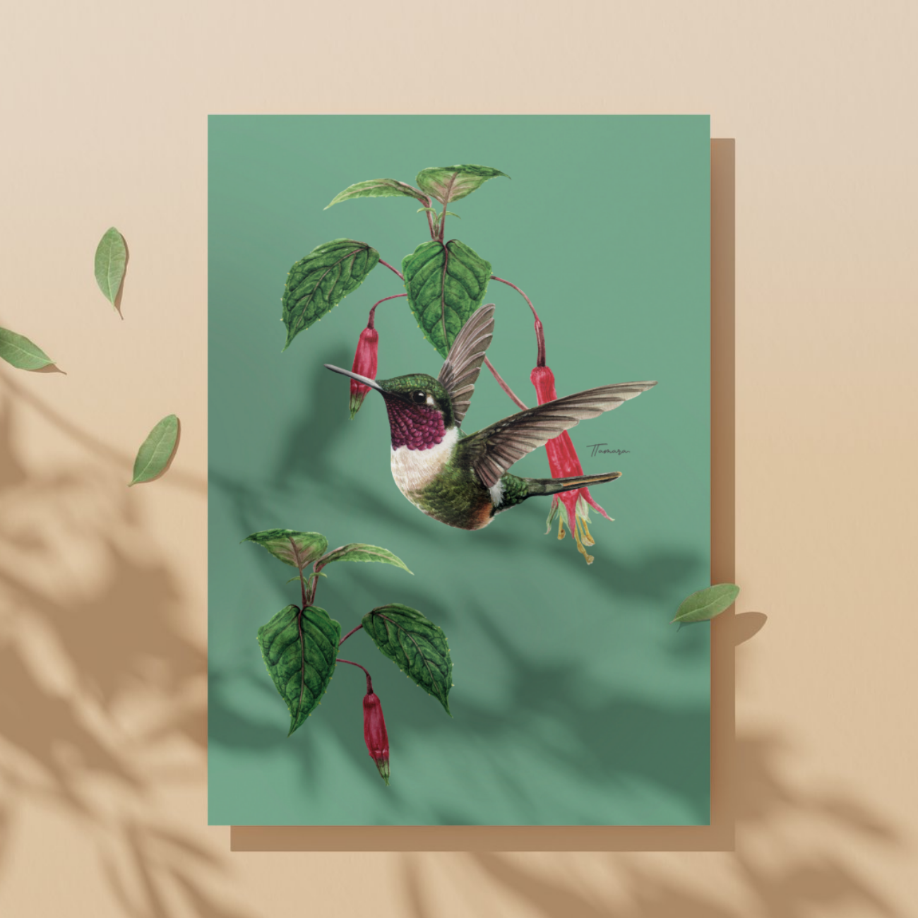 Tarjeta de regalo - Colibrí Estrellita Gorgimorada