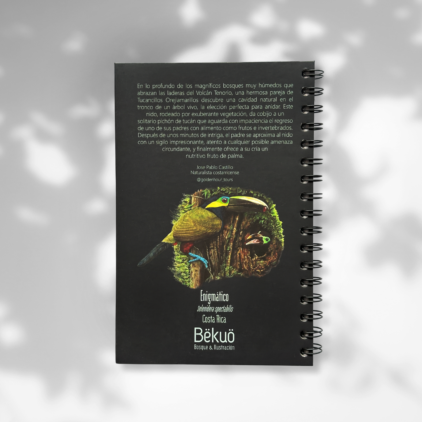 Libreta - Enigmático Tucán Orejiamarillo Oscura