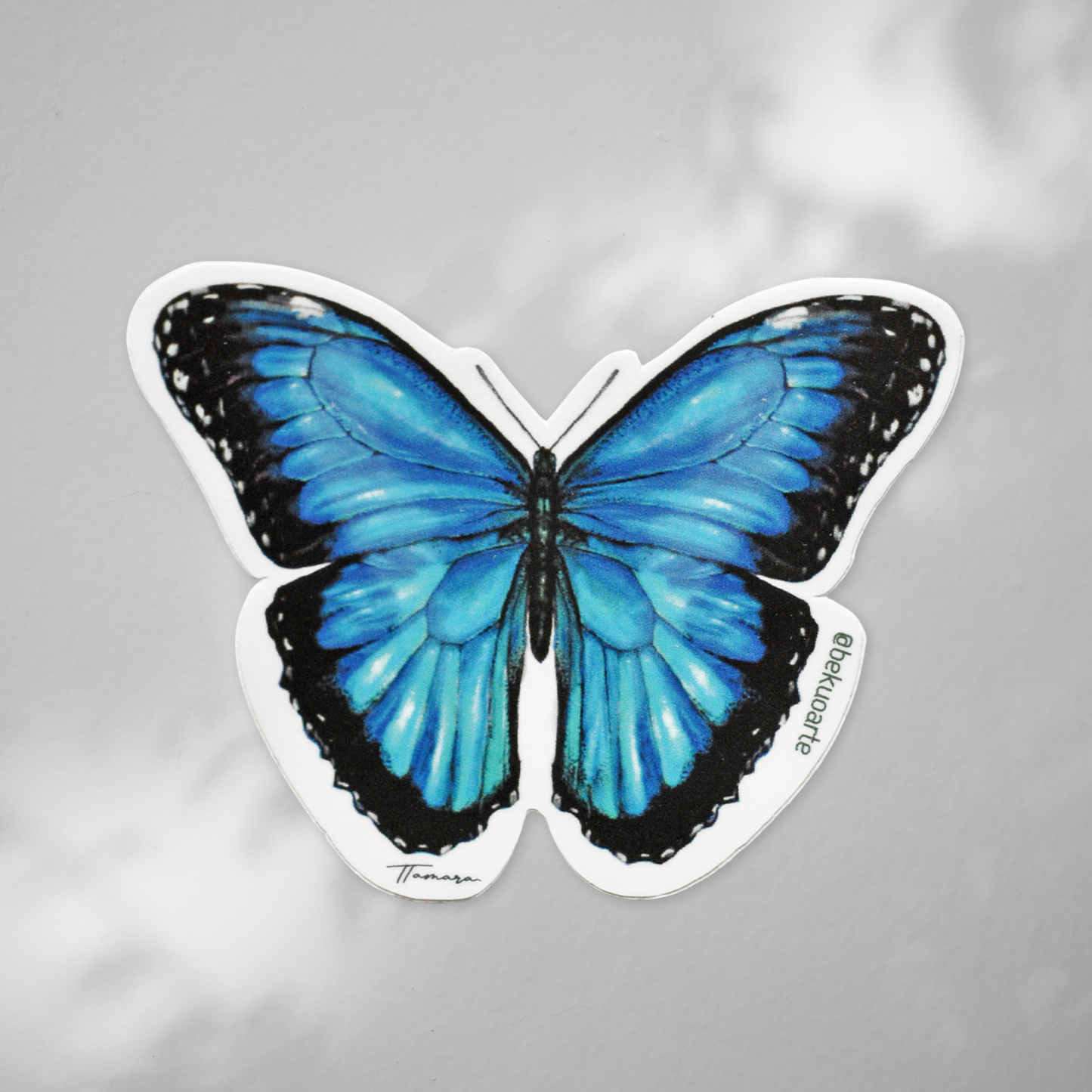 Sticker contra agua - Morpho azul