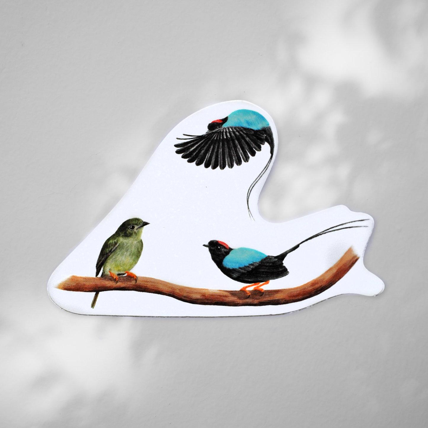 Sticker contra agua - Danza del Toledo