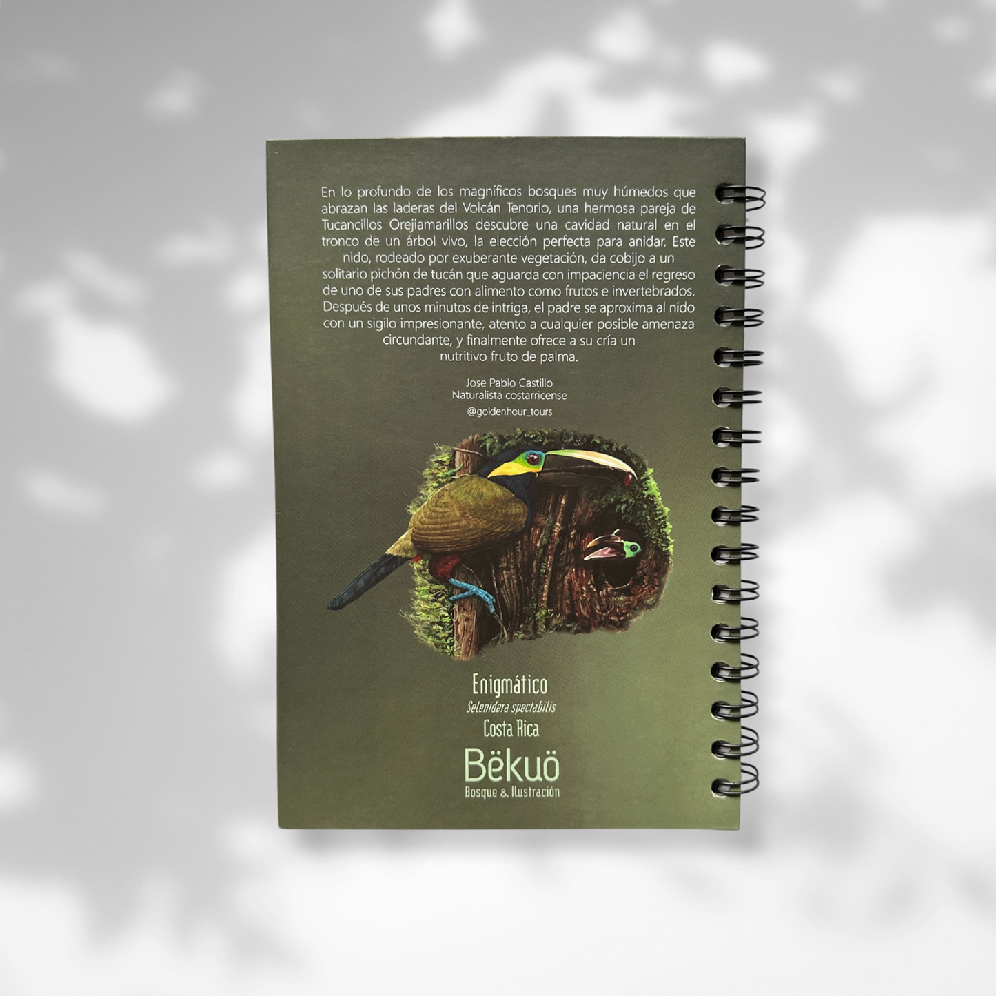 Libreta - Enigmático Tucán Orejiamarillo Clara