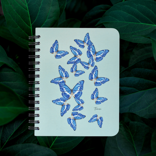 Libreta pequeña - Morpho