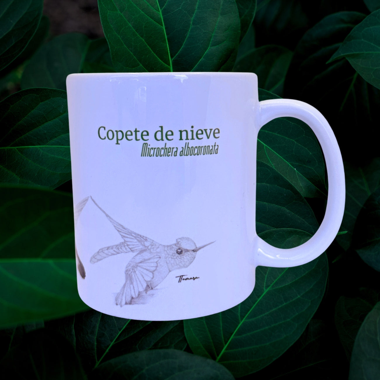Jarra de Cerámica - Copete de Nieve