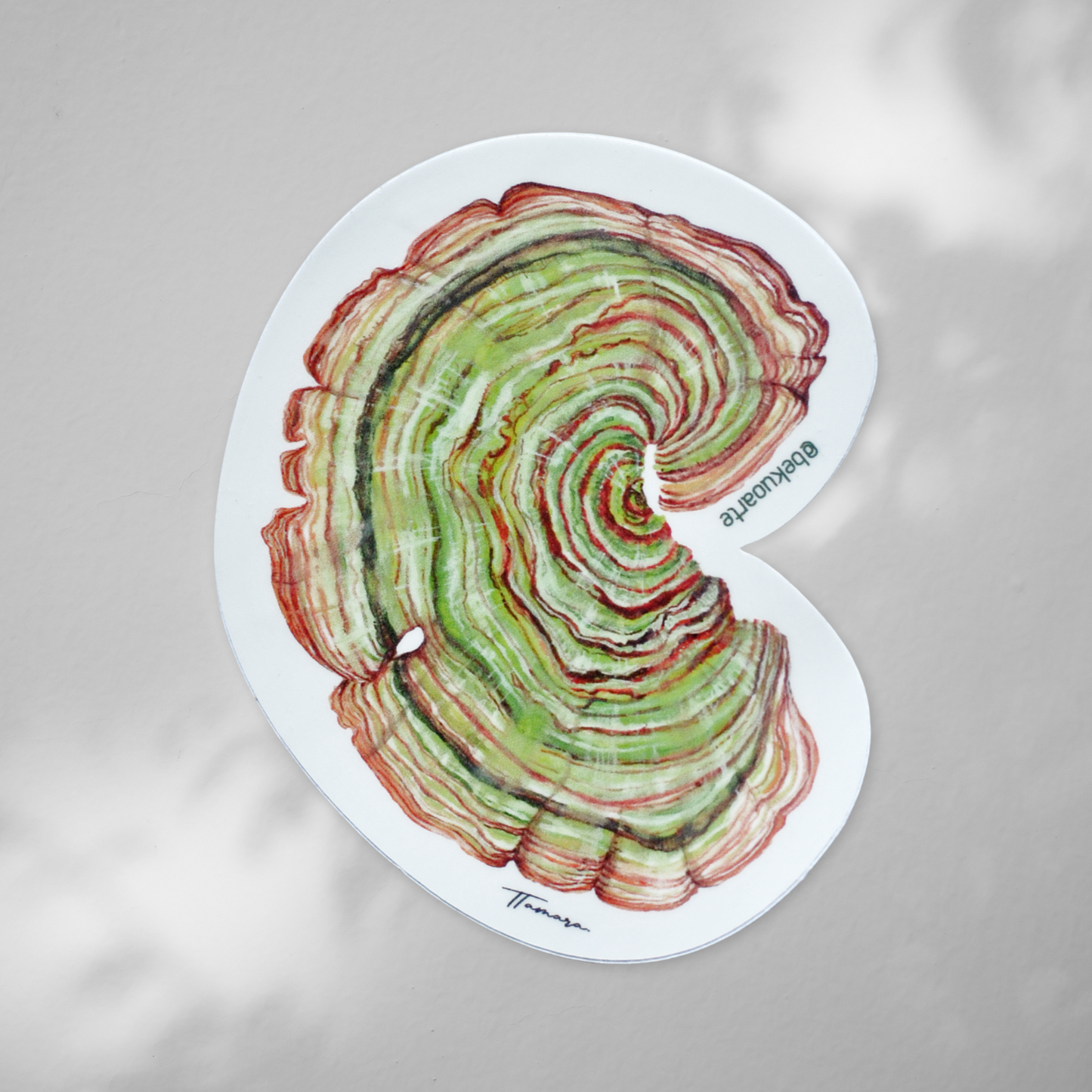 Sticker contra agua - Hongo Oreja de palo