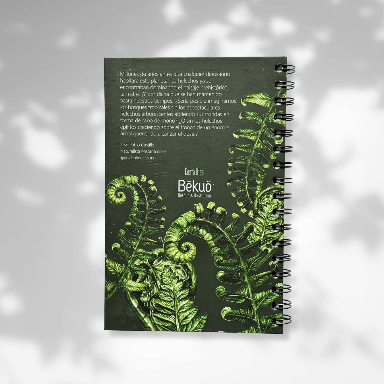 Libreta - Helechos