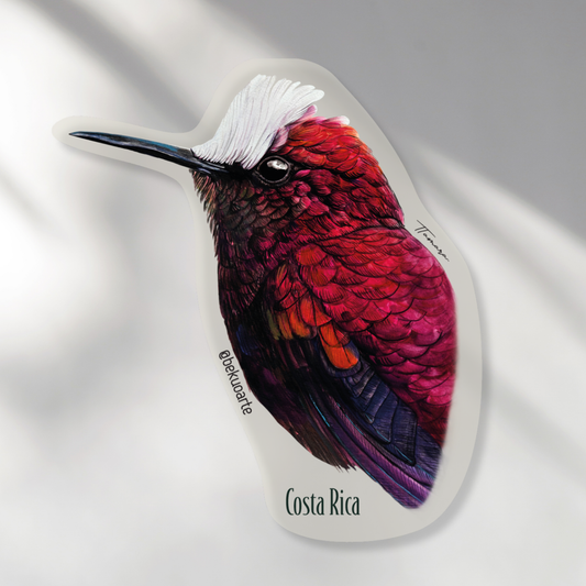 Imán - Colibrí Copete de Nieve #1