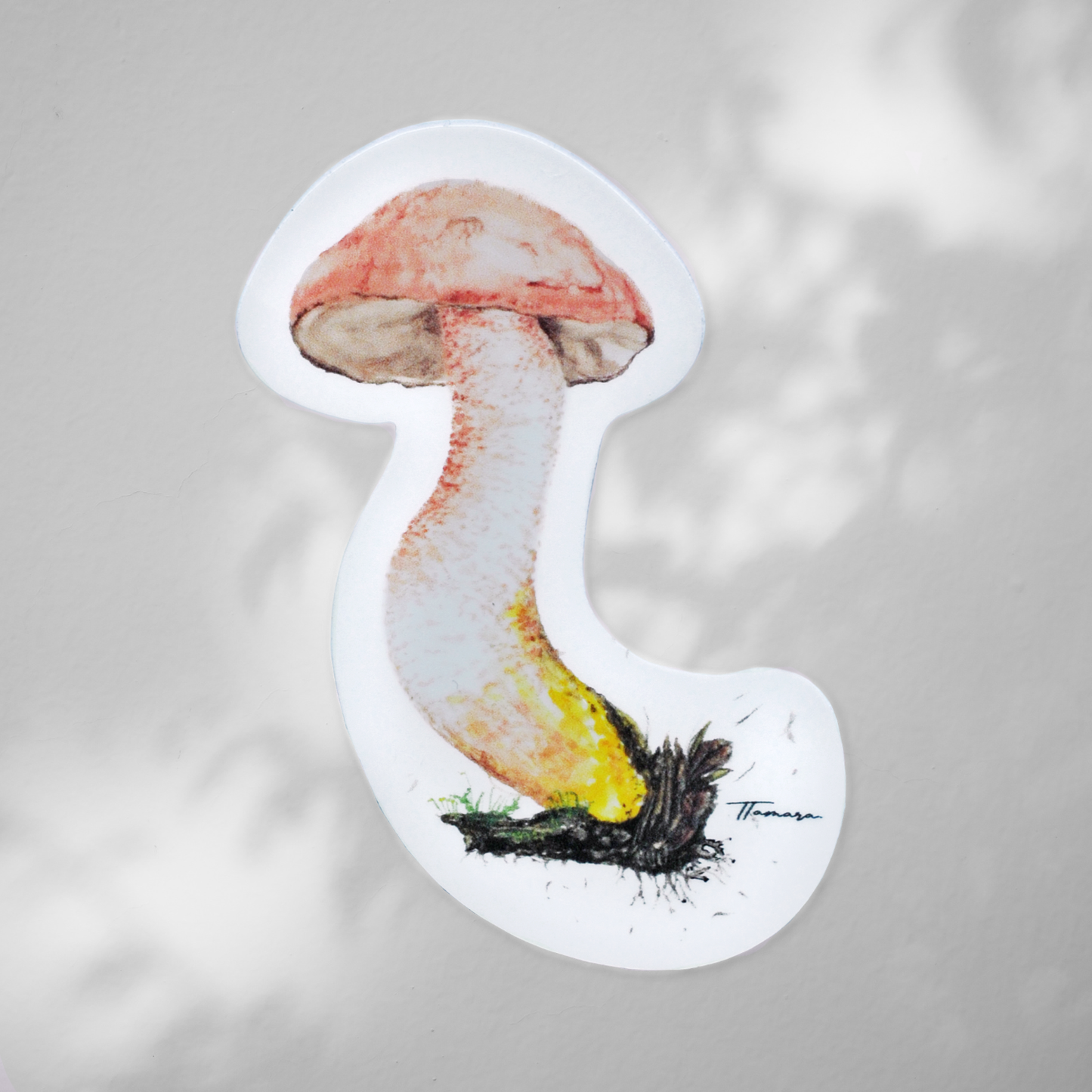 Sticker contra agua - Hongo Boletaceae