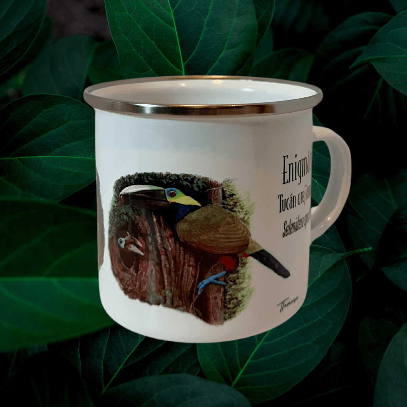 Jarrito de Metal - Enigmático Tucán Orejiamarillo