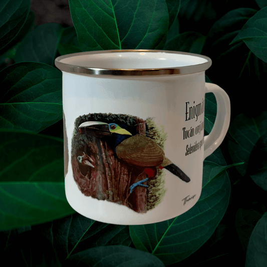 Jarrito de Metal - Enigmático Tucán Orejiamarillo