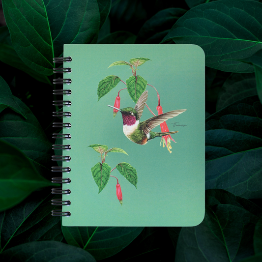 Libreta Pequeña - Estrellita Gorgimorada