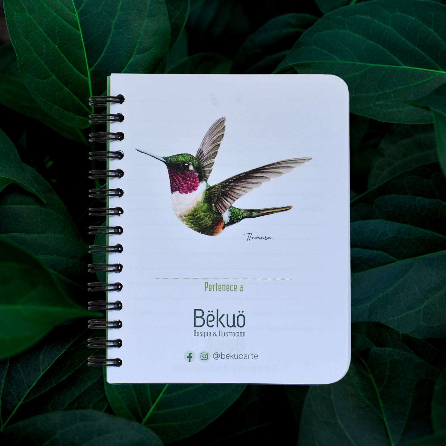 Libreta Pequeña - Estrellita Gorgimorada