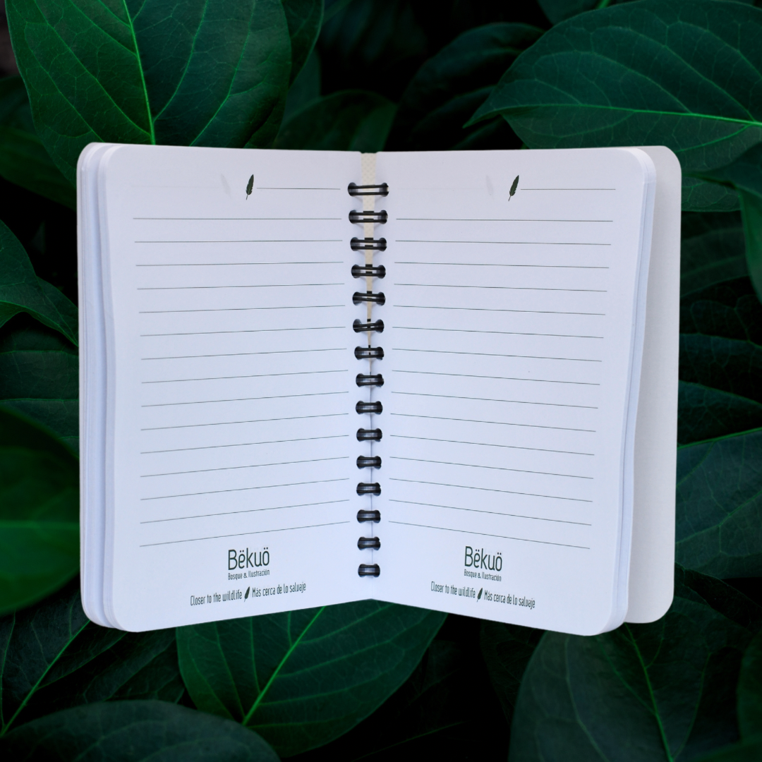 Libreta pequeña - Morpho