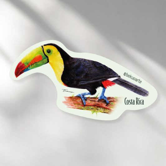 Imán - Tucán Pico Iris