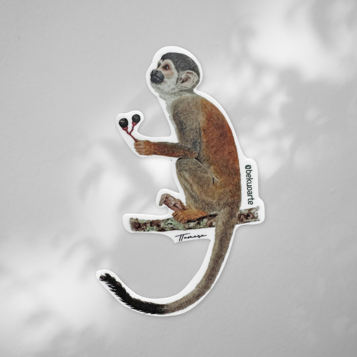 Sticker contra agua - Mono tití