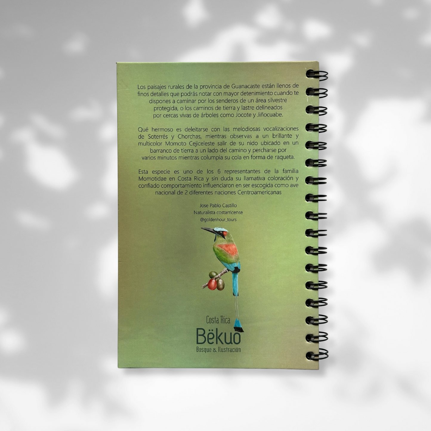 Libreta - Cejiceleste