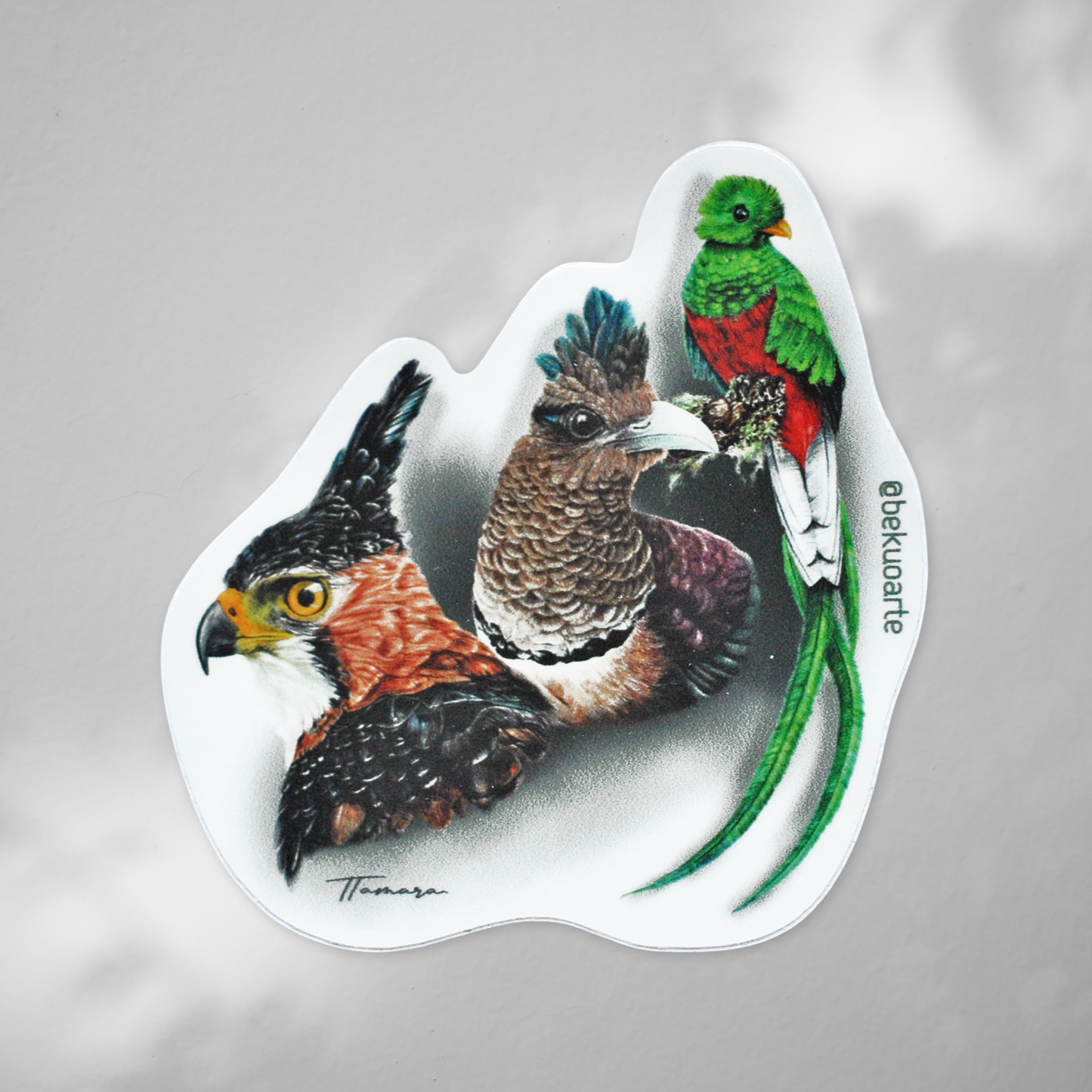 Sticker contra agua - Relatos del Bosque