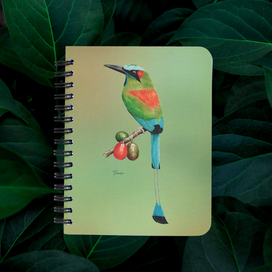 Libreta Pequeña -  Cejiceleste