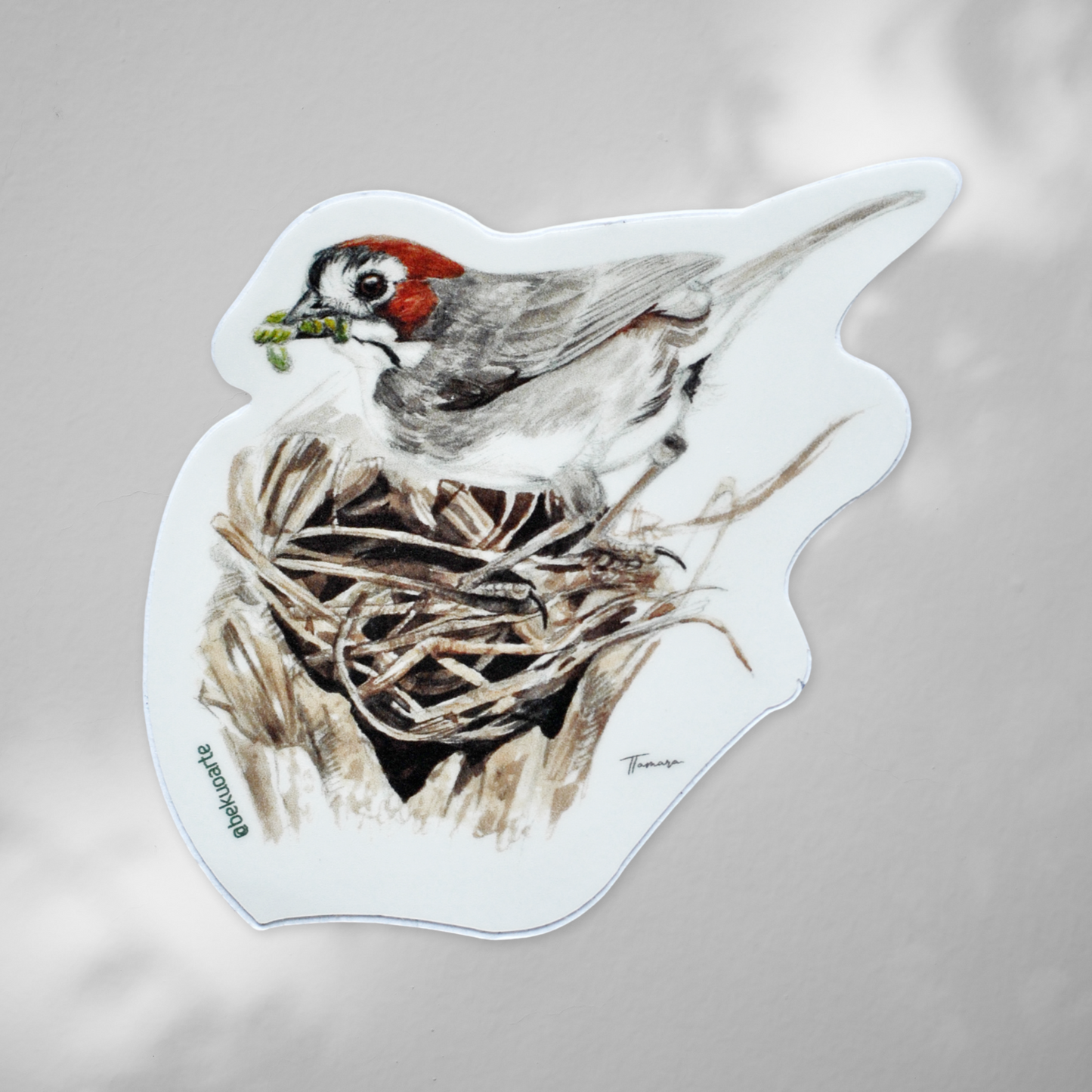 Sticker contra agua - Pinzón costarricense #1