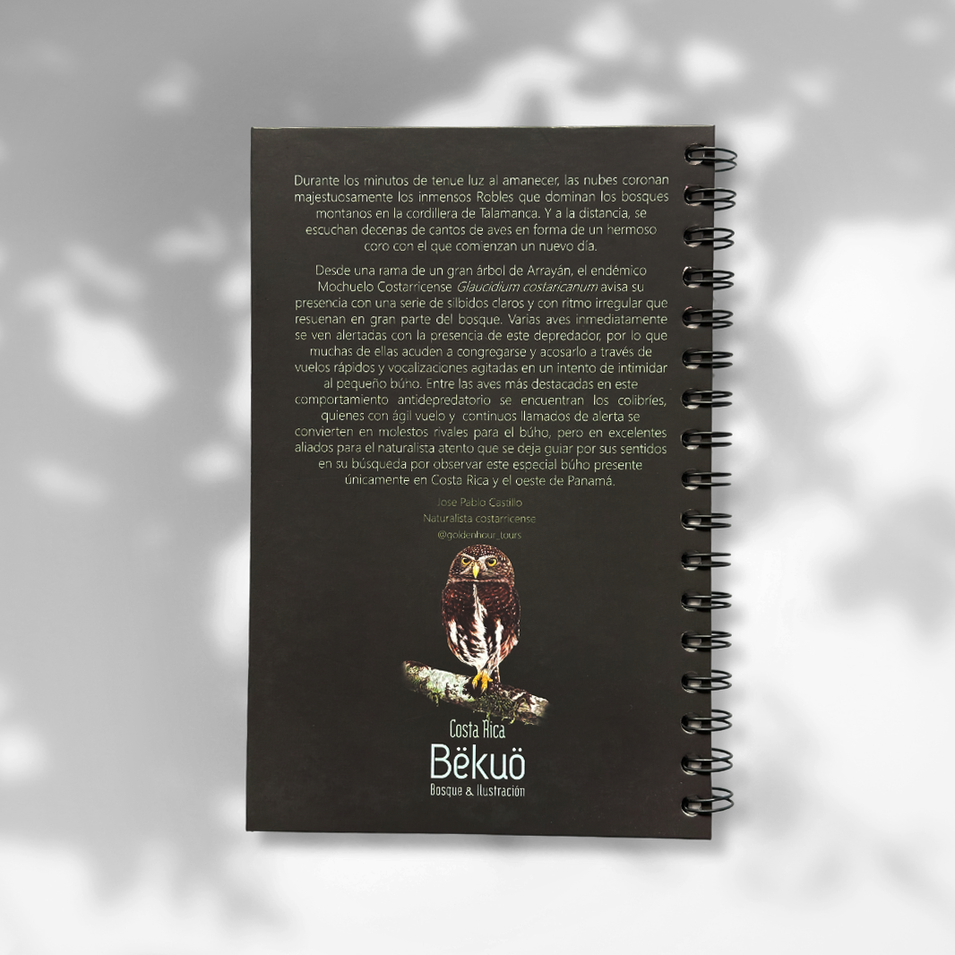 Libreta - Mochuelo Endémico Costarricense