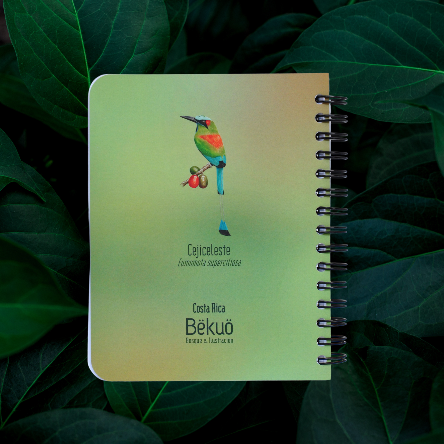 Libreta Pequeña - Cejiceleste