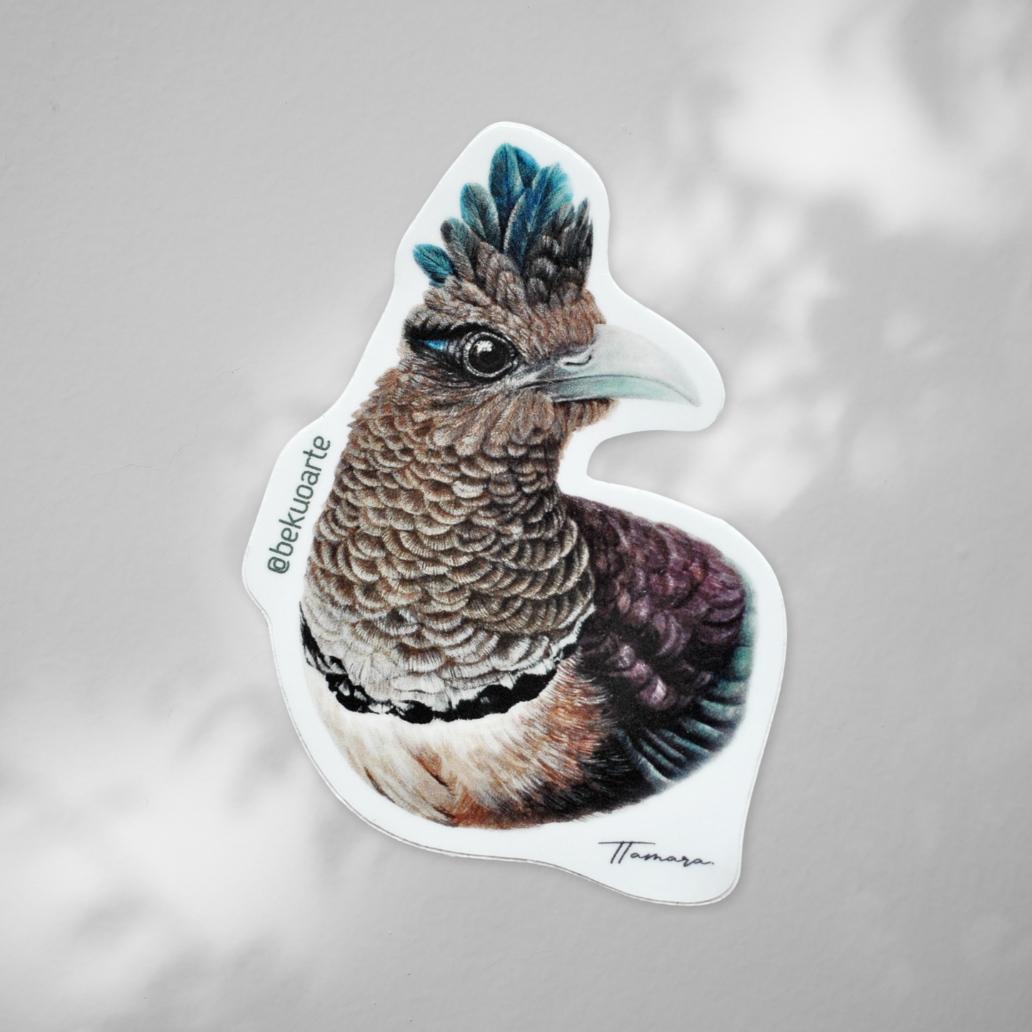 Sticker contra agua - Cuco hormiguero