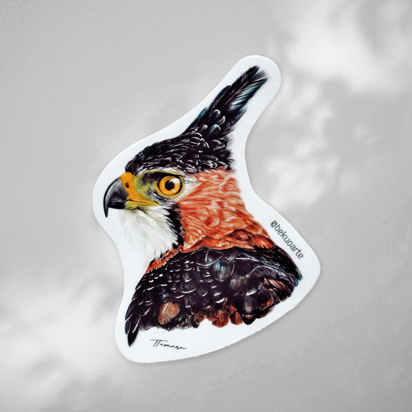 Sticker contra agua - Águila Penachuda