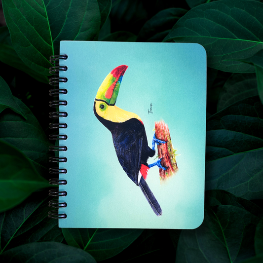 Libreta pequeña - Tucán Pico Iris