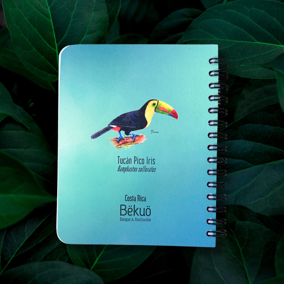Libreta pequeña - Tucán Pico Iris