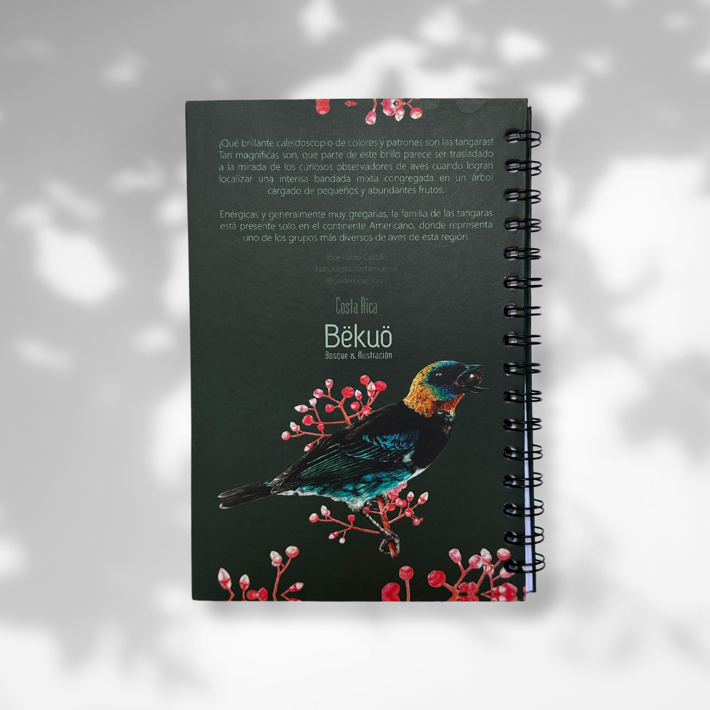 Libreta - Tangara Capuchidorada
