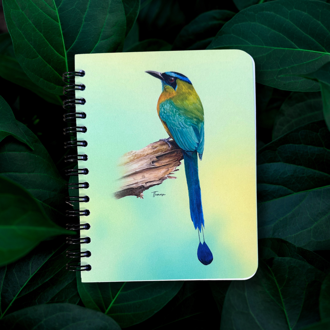 Libreta pequeña - Ecos del Pájaro Bobo