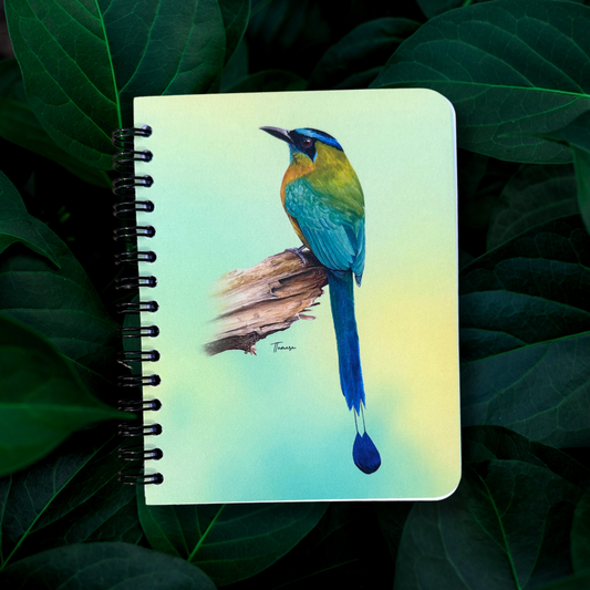 Libreta pequeña - Ecos del Pájaro Bobo