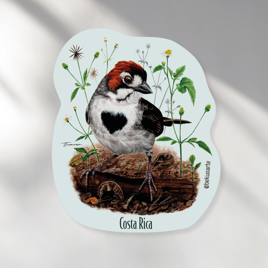 Imán - Pinzón Cafetalero