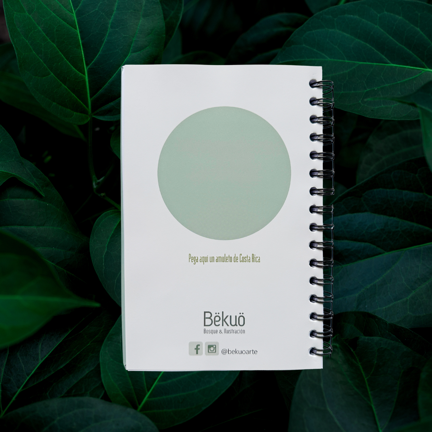 Libreta - Morpho Clara