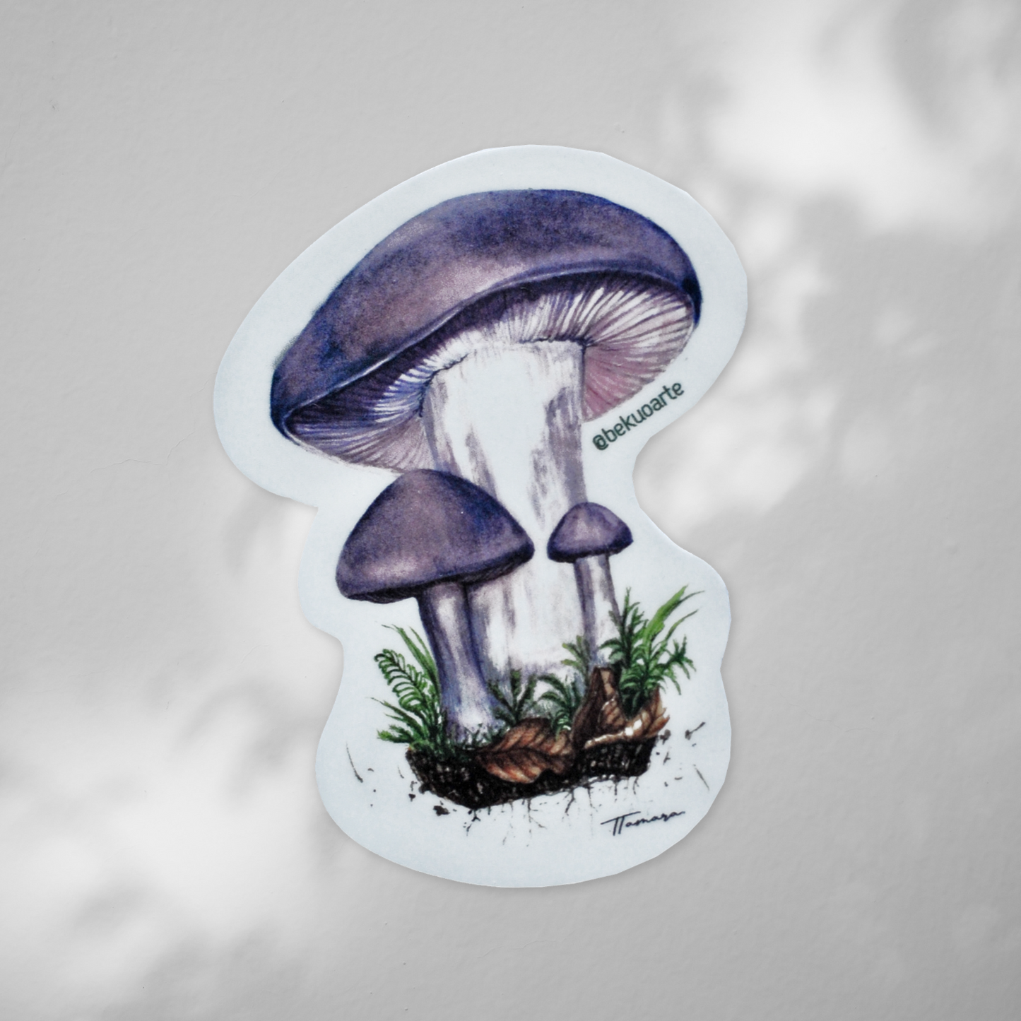 Sticker contra agua - Hongo Pie azul