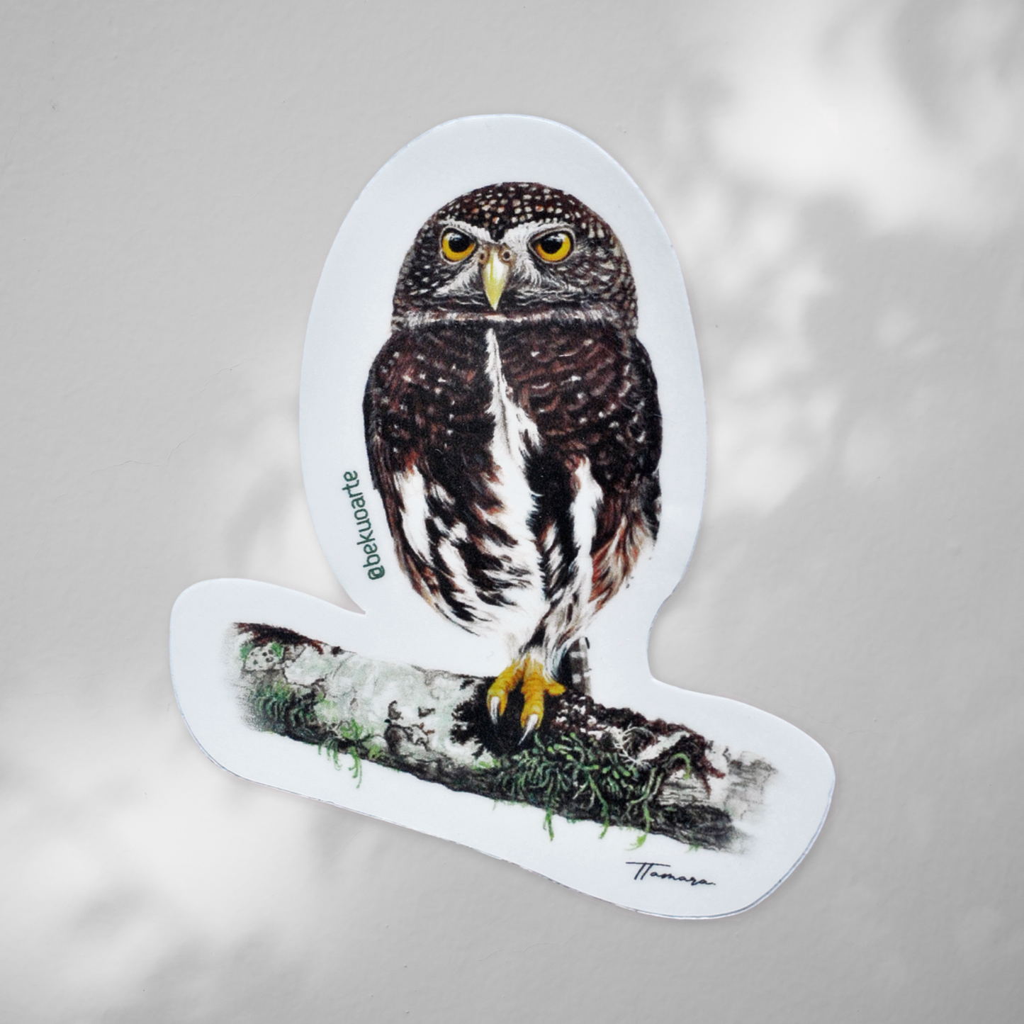 Sticker contra agua - Mochuelo Endémico Costarricense