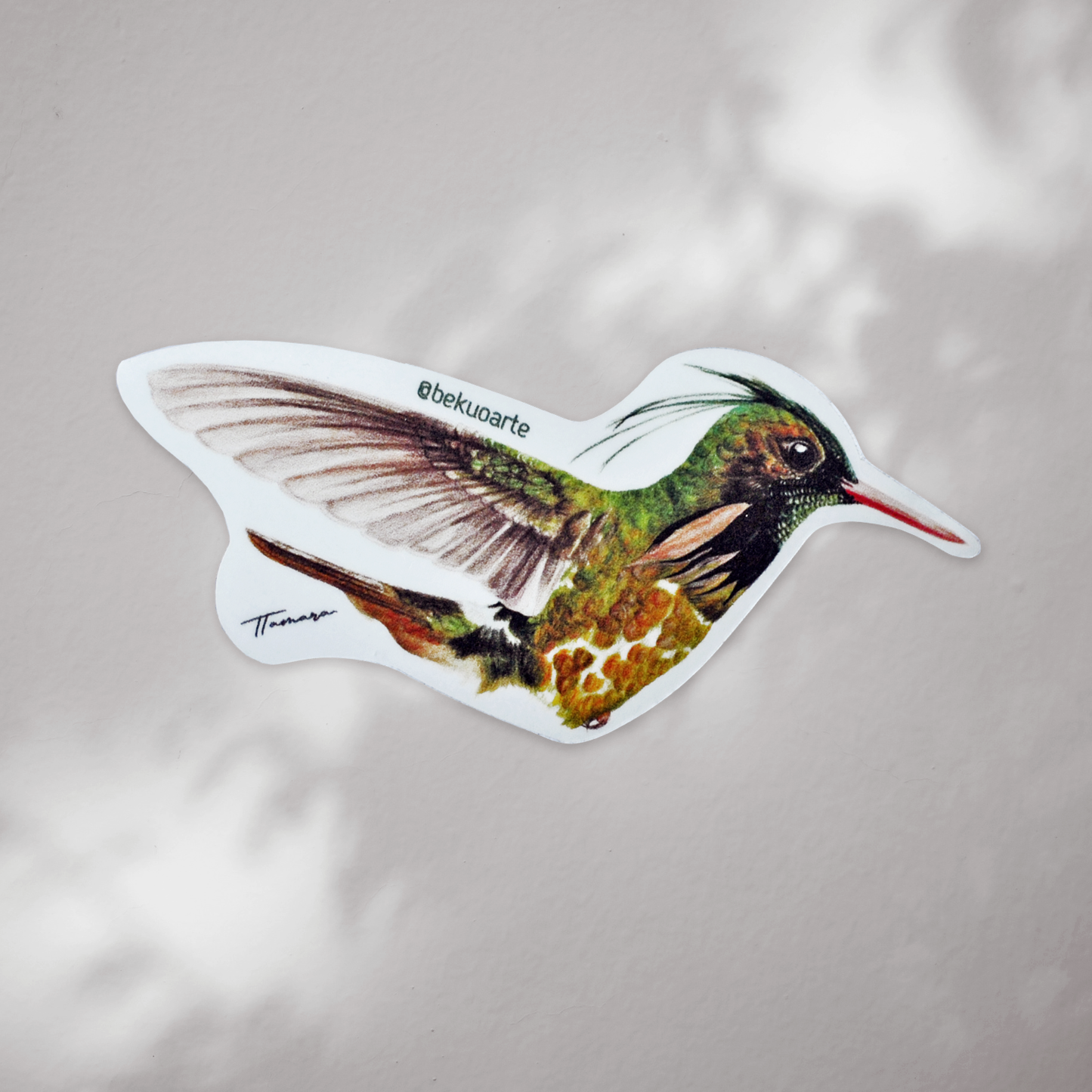 Sticker contra agua - Colibrí Crestinegra