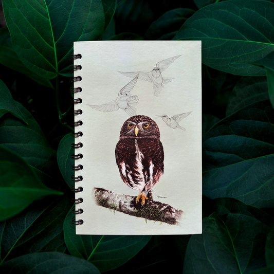 Libreta - Endémico Mochuelo Costarricense tono claro