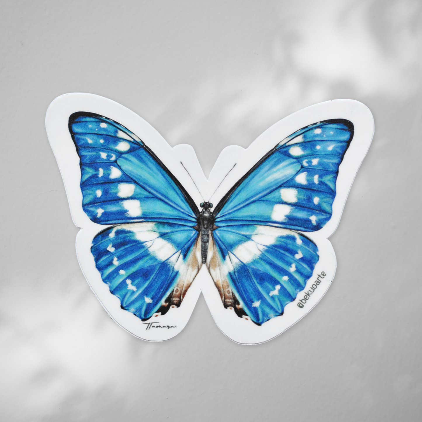 Sticker contra agua - Morpho