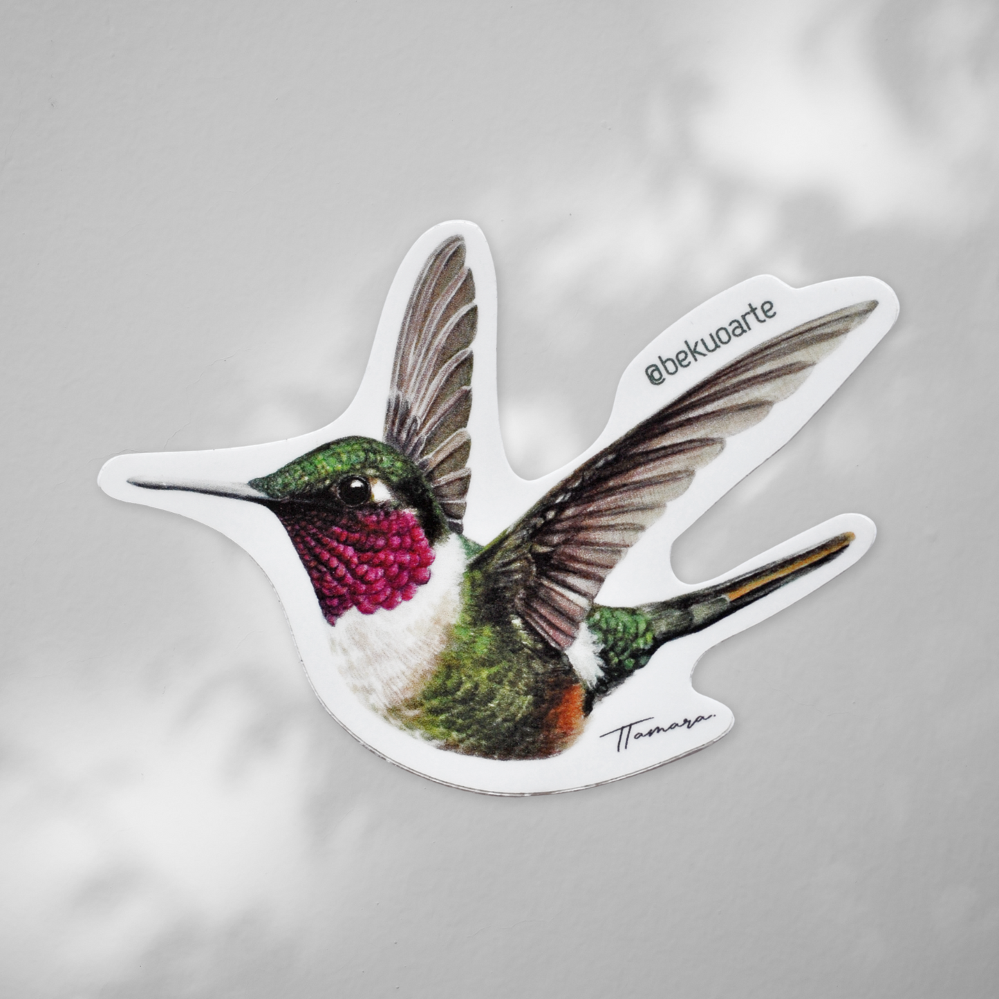 Sticker contra agua - Colibrí Estrellita Gorgimorada