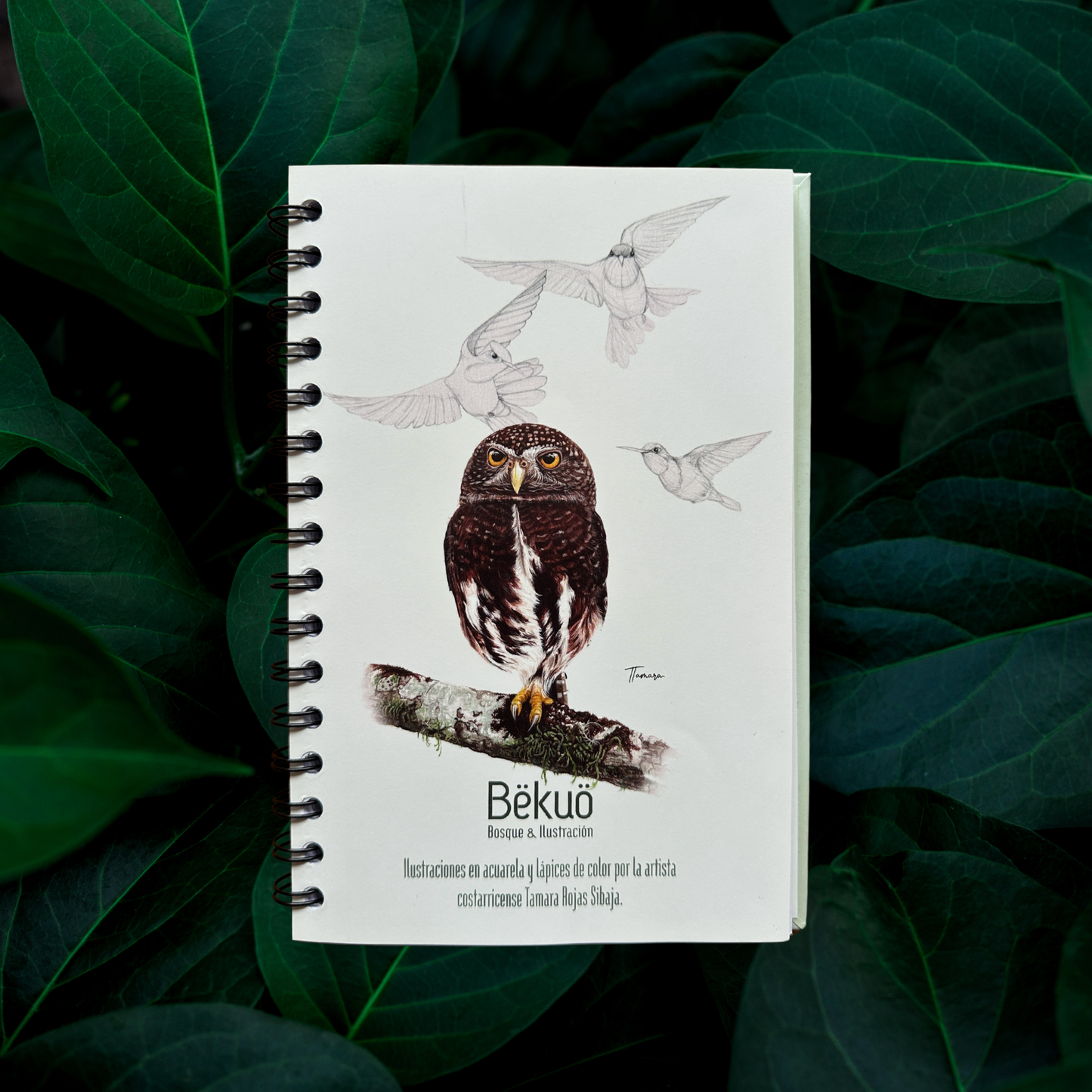 Libreta - Endémico Mochuelo Costarricense tono claro