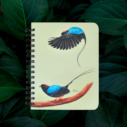 Libreta Pequeña - Danza del Toledo