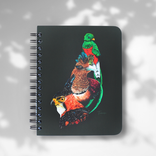 Libreta Pequeña - Relatos del bosque