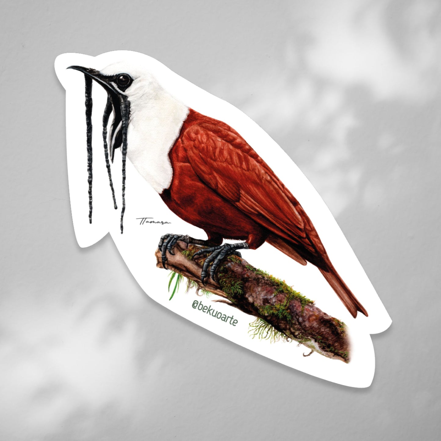 Sticker contra agua - Pájaro Campanero