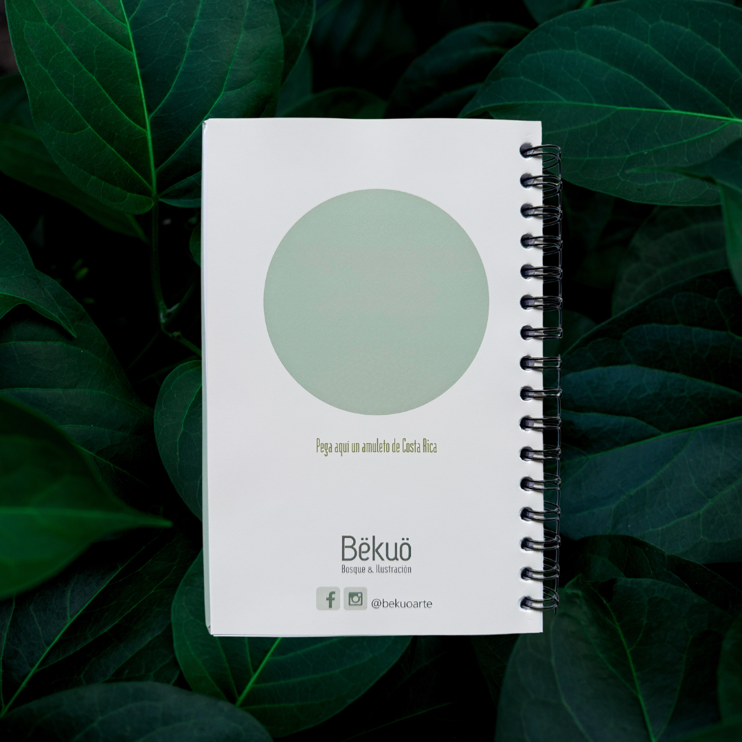 Libreta - Colibrí Estrellita Gorgimorada